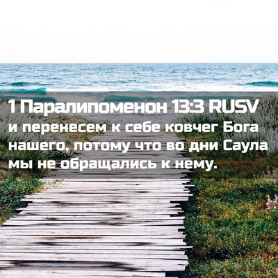 Picture 02 - 1 Паралипоменон 13:3 RUSV - и перенесем к себе ковчег - Bible Verse Picture