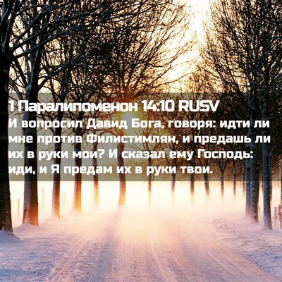 Picture 02 - 1 Паралипоменон 14:10 RUSV - И вопросил Давид Бога, - Bible Verse Picture