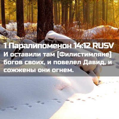 Picture 02 - 1 Паралипоменон 14:12 RUSV - И оставили там - Bible Verse Picture