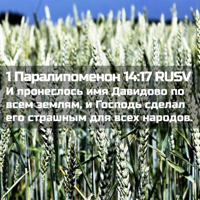 Picture 02 - 1 Паралипоменон 14:17 RUSV - И пронеслось имя Давидово - Bible Verse Picture
