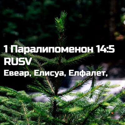 Picture 02 - 1 Паралипоменон 14:5 RUSV - Евеар, Елисуа, - Bible Verse Picture