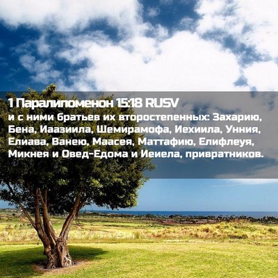 Picture 02 - 1 Паралипоменон 15:18 RUSV - и с ними братьев их - Bible Verse Picture
