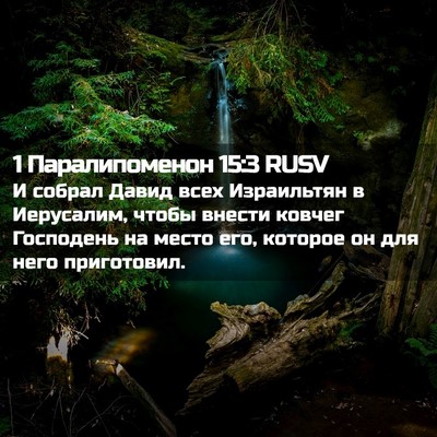 Picture 02 - 1 Паралипоменон 15:3 RUSV - И собрал Давид всех - Bible Verse Picture