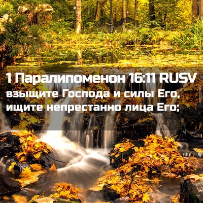 Picture 02 - 1 Паралипоменон 16:11 RUSV - взыщите Господа и силы Его, - Bible Verse Picture