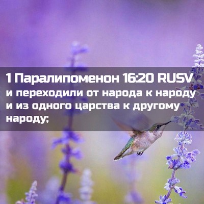 Picture 02 - 1 Паралипоменон 16:20 RUSV - и переходили от народа к - Bible Verse Picture