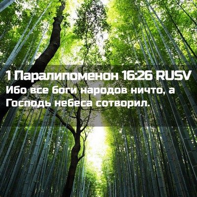 Picture 02 - 1 Паралипоменон 16:26 RUSV - Ибо все боги народов ничто, - Bible Verse Picture