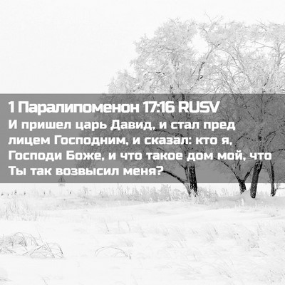 Picture 02 - 1 Паралипоменон 17:16 RUSV - И пришел царь Давид, и стал - Bible Verse Picture