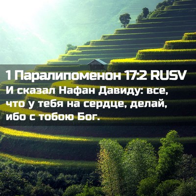 Picture 02 - 1 Паралипоменон 17:2 RUSV - И сказал Нафан Давиду: все, - Bible Verse Picture