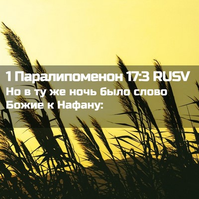 Picture 02 - 1 Паралипоменон 17:3 RUSV - Но в ту же ночь было слово - Bible Verse Picture