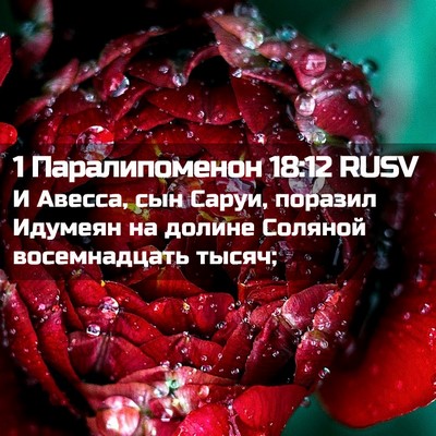 Picture 02 - 1 Паралипоменон 18:12 RUSV - И Авесса, сын Саруи, - Bible Verse Picture