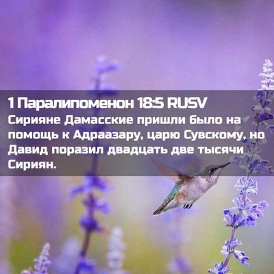 Picture 02 - 1 Паралипоменон 18:5 RUSV - Сирияне Дамасские пришли - Bible Verse Picture