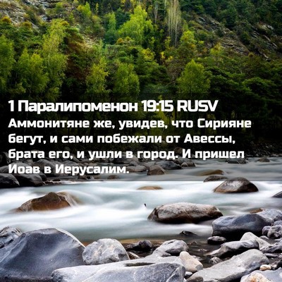 Picture 02 - 1 Паралипоменон 19:15 RUSV - Аммонитяне же, увидев, что - Bible Verse Picture