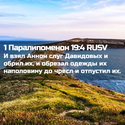 Picture 02 - 1 Паралипоменон 19:4 RUSV - И взял Аннон слуг - Bible Verse Picture