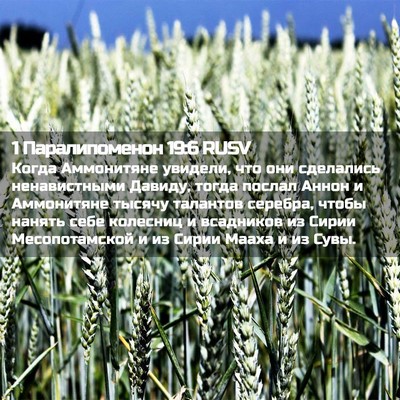 Picture 02 - 1 Паралипоменон 19:6 RUSV - Когда Аммонитяне увидели, - Bible Verse Picture