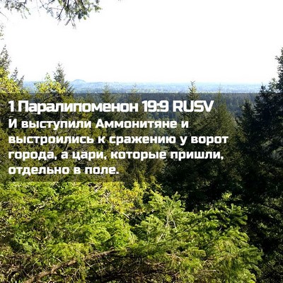 Picture 02 - 1 Паралипоменон 19:9 RUSV - И выступили Аммонитяне и - Bible Verse Picture