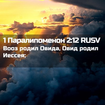Picture 02 - 1 Паралипоменон 2:12 RUSV - Вооз родил Овида, Овид - Bible Verse Picture