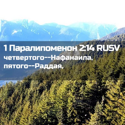 Picture 02 - 1 Паралипоменон 2:14 RUSV - четвертого--Нафанаила, - Bible Verse Picture