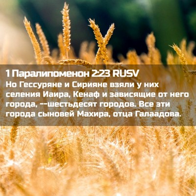 Picture 02 - 1 Паралипоменон 2:23 RUSV - Но Гессуряне и Сирияне - Bible Verse Picture