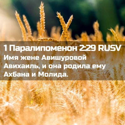 Picture 02 - 1 Паралипоменон 2:29 RUSV - Имя жене Авишуровой - Bible Verse Picture