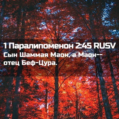 Picture 02 - 1 Паралипоменон 2:45 RUSV - Сын Шаммая Маон, а - Bible Verse Picture