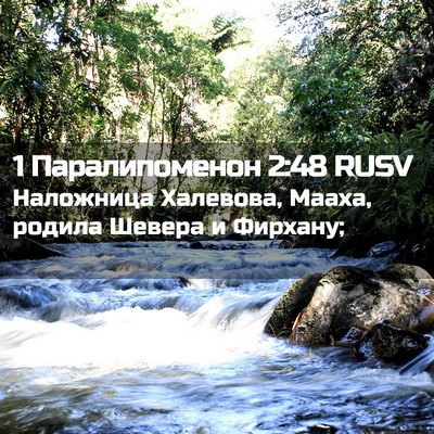 Picture 02 - 1 Паралипоменон 2:48 RUSV - Наложница Халевова, Мааха, - Bible Verse Picture