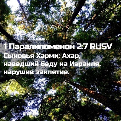Picture 02 - 1 Паралипоменон 2:7 RUSV - Сыновья Харми: Ахар, - Bible Verse Picture