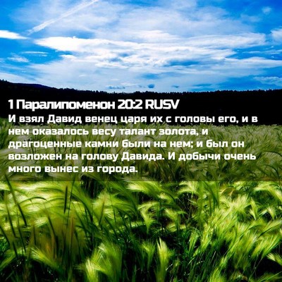 Picture 02 - 1 Паралипоменон 20:2 RUSV - И взял Давид венец царя их - Bible Verse Picture
