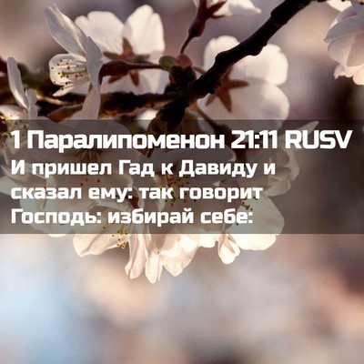 Picture 02 - 1 Паралипоменон 21:11 RUSV - И пришел Гад к Давиду и - Bible Verse Picture
