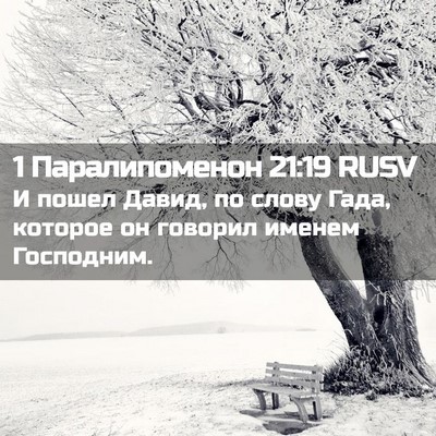 Picture 02 - 1 Паралипоменон 21:19 RUSV - И пошел Давид, по слову - Bible Verse Picture