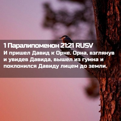 Picture 02 - 1 Паралипоменон 21:21 RUSV - И пришел Давид к Орне. Орна, - Bible Verse Picture
