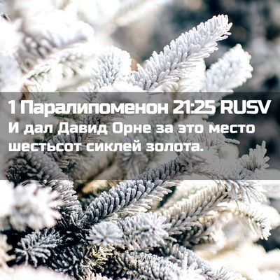 Picture 02 - 1 Паралипоменон 21:25 RUSV - И дал Давид Орне за это - Bible Verse Picture