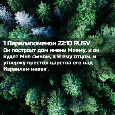 Picture 02 - 1 Паралипоменон 22:10 RUSV - Он построит дом имени - Bible Verse Picture