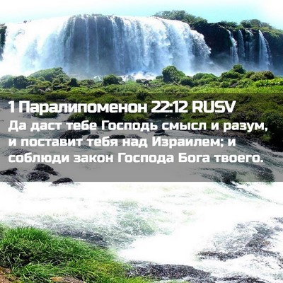 Picture 02 - 1 Паралипоменон 22:12 RUSV - Да даст тебе Господь смысл - Bible Verse Picture