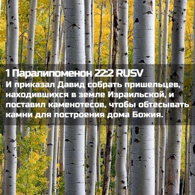 Picture 02 - 1 Паралипоменон 22:2 RUSV - И приказал Давид собрать - Bible Verse Picture