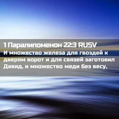 Picture 02 - 1 Паралипоменон 22:3 RUSV - И множество железа для - Bible Verse Picture