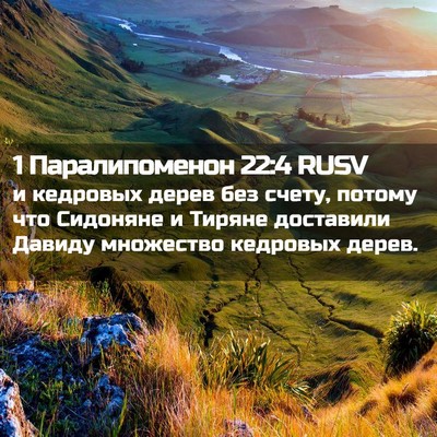 Picture 02 - 1 Паралипоменон 22:4 RUSV - и кедровых дерев без счету, - Bible Verse Picture