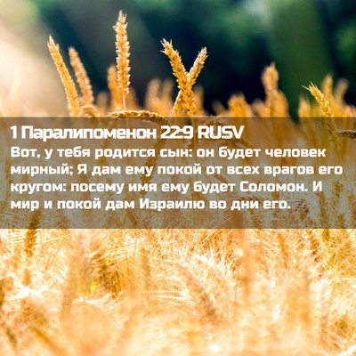 Picture 02 - 1 Паралипоменон 22:9 RUSV - Вот, у тебя родится сын: он - Bible Verse Picture
