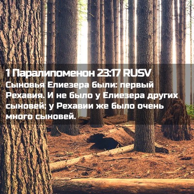 Picture 02 - 1 Паралипоменон 23:17 RUSV - Сыновья Елиезера были: - Bible Verse Picture