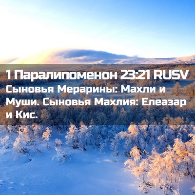Picture 02 - 1 Паралипоменон 23:21 RUSV - Сыновья Мерарины: Махли и - Bible Verse Picture