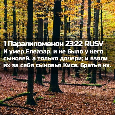 Picture 02 - 1 Паралипоменон 23:22 RUSV - И умер Елеазар, и не было у - Bible Verse Picture