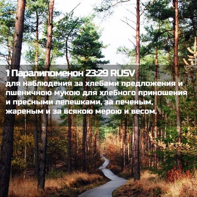 Picture 02 - 1 Паралипоменон 23:29 RUSV - для наблюдения за хлебами - Bible Verse Picture