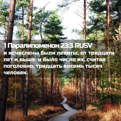 Picture 02 - 1 Паралипоменон 23:3 RUSV - и исчислены были левиты, от - Bible Verse Picture
