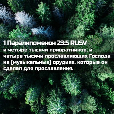 Picture 02 - 1 Паралипоменон 23:5 RUSV - и четыре тысячи - Bible Verse Picture