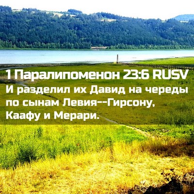 Picture 02 - 1 Паралипоменон 23:6 RUSV - И разделил их Давид на - Bible Verse Picture