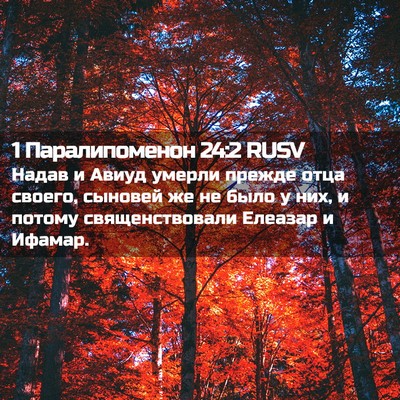 Picture 02 - 1 Паралипоменон 24:2 RUSV - Надав и Авиуд умерли - Bible Verse Picture