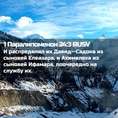 Picture 02 - 1 Паралипоменон 24:3 RUSV - И распределил их - Bible Verse Picture