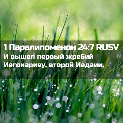 Picture 02 - 1 Паралипоменон 24:7 RUSV - И вышел первый жребий - Bible Verse Picture