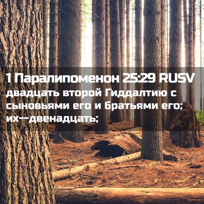 Picture 02 - 1 Паралипоменон 25:29 RUSV - двадцать второй Гиддалтию - Bible Verse Picture