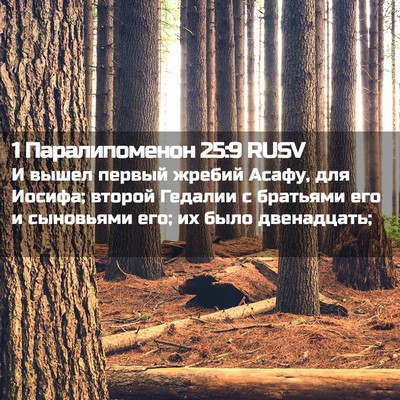 Picture 02 - 1 Паралипоменон 25:9 RUSV - И вышел первый жребий - Bible Verse Picture