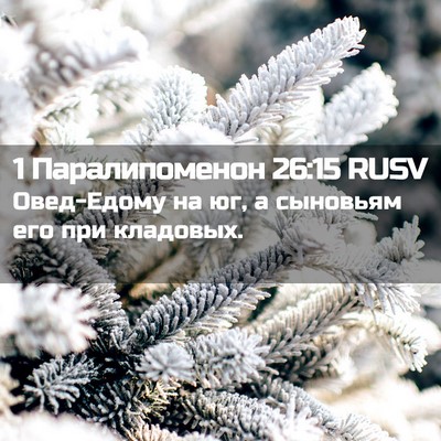 Picture 02 - 1 Паралипоменон 26:15 RUSV - Овед-Едому на юг, а - Bible Verse Picture